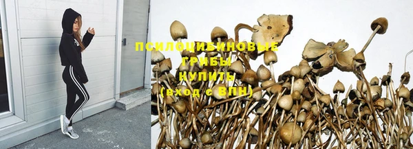 PSILOCYBIN Ладушкин