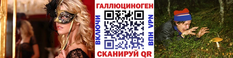 Купить  Новоржев  Псилоцибиновые грибы MAGIC MUSHROOMS 