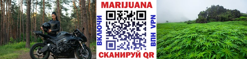 МАРИХУАНА ГИДРОПОН Купить Новоржев
